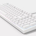 Full Size Wired Mechanical Keyboard With RGB Backlight